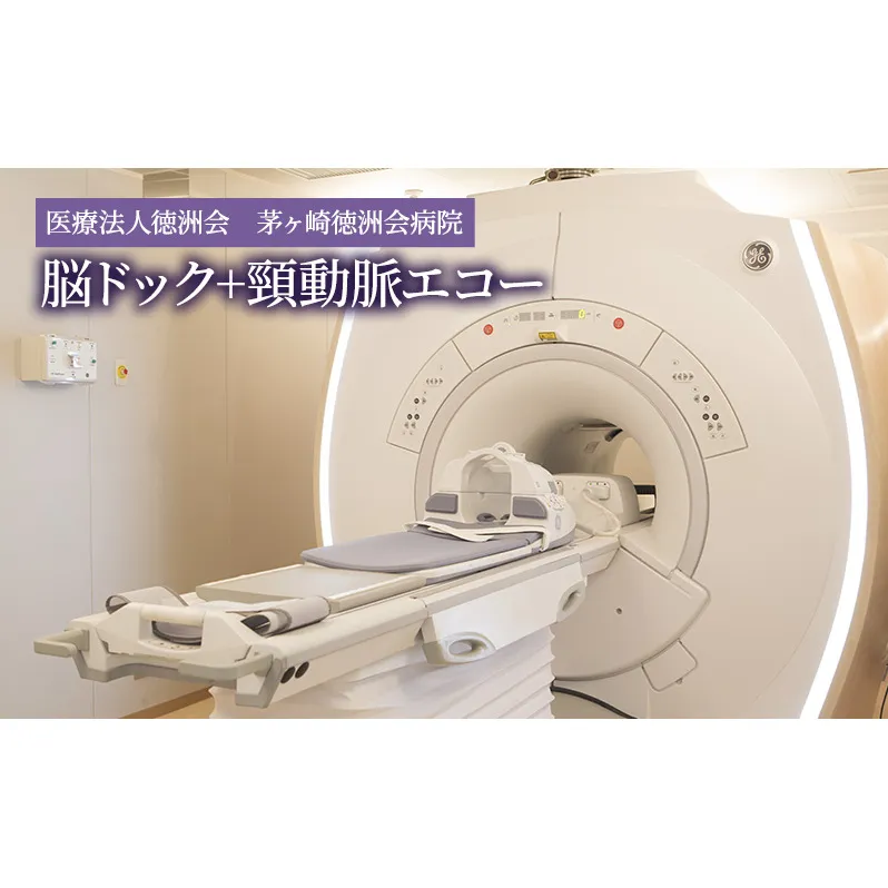 脳ドック+頸動脈エコー チケット 体験チケット 検査のみ 脳血管疾患 検査 健康チェック 