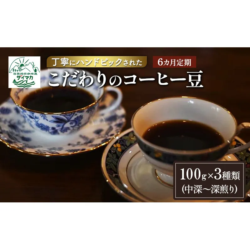 【6ヵ月定期便】丁寧にハンドピックされたこだわりのコーヒー豆100g×3種類(中深～深煎り)【豆】  珈琲 コーヒー豆 珈琲豆 豆 焙煎 自家焙煎 セット