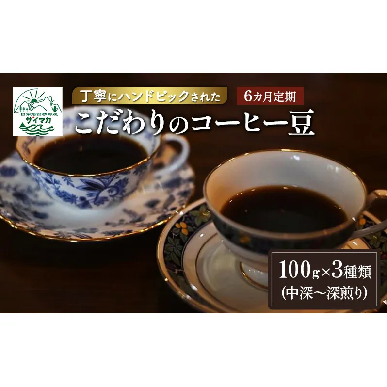 【6ヵ月定期便】丁寧にハンドピックされたこだわりのコーヒー豆100g×3種類(中深～深煎り)【粉】  珈琲 コーヒー豆 珈琲豆 豆 焙煎 自家焙煎 セット
