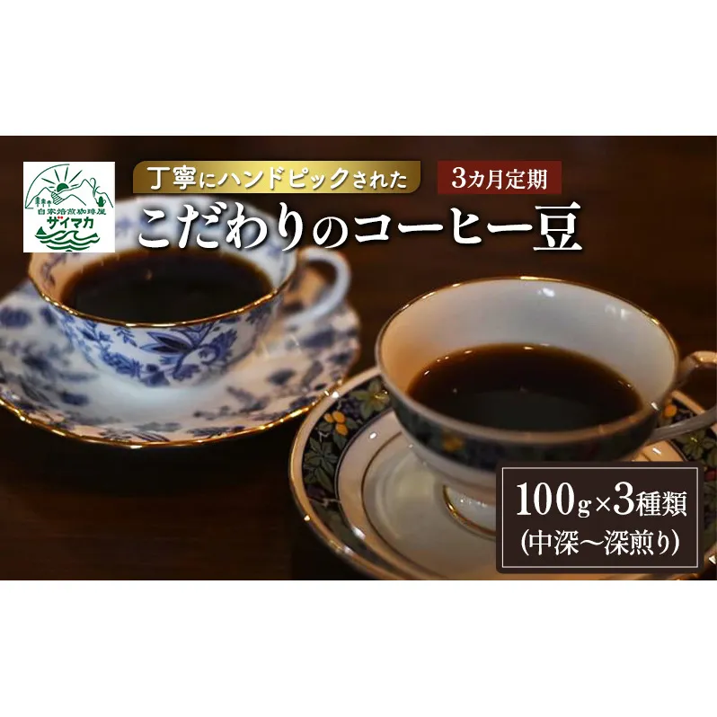 【3ヵ月定期便】丁寧にハンドピックされたこだわりのコーヒー豆100g×3種類(中深～深煎り)【豆】  珈琲 コーヒー豆 珈琲豆 豆 焙煎 自家焙煎 セット