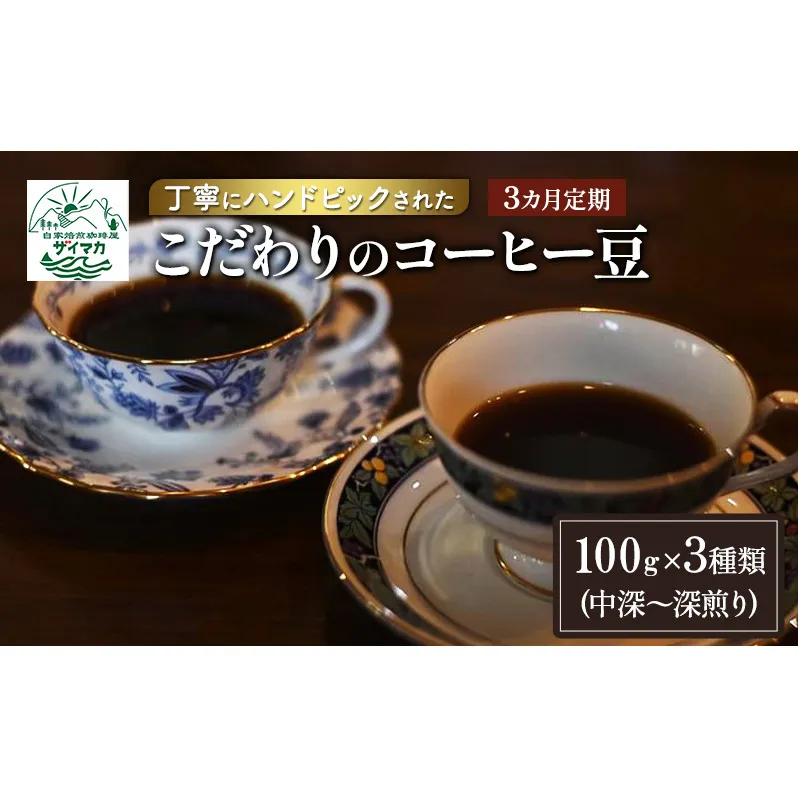 【3ヵ月定期便】丁寧にハンドピックされたこだわりのコーヒー豆100g×3種類(中深～深煎り)【粉】  珈琲 コーヒー豆 珈琲豆 豆 焙煎 自家焙煎 セット