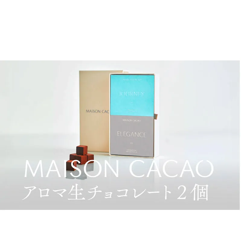 【ふるさと納税】MAISON CACAO メゾンカカオ アロマ生チョコレート 2種セット（16粒×2箱） ギフトボックス入 冷凍配送 神奈川県茅ヶ崎市