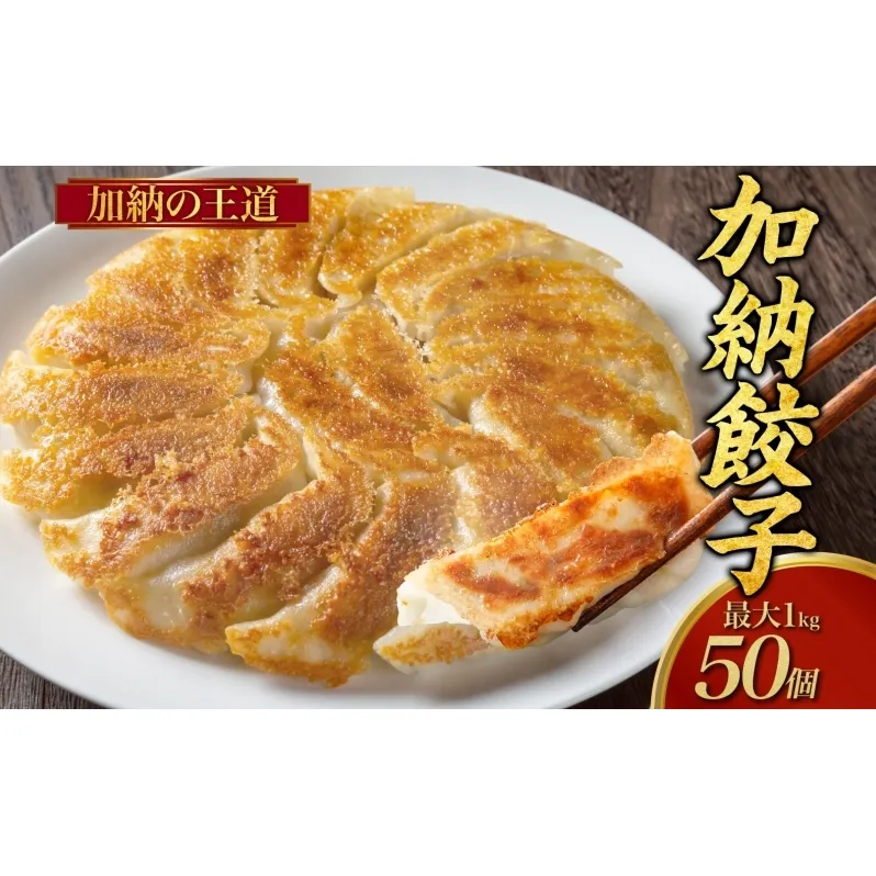 【加納の王道】餃子 冷凍生餃子 50個 生餃子 冷凍餃子 ギョーザ おかず 総菜 おつまみ つまみ ごはんのお供 中華 家庭用 お取り寄せ まとめ買い 大容量 冷凍食品 焼き餃子 冷凍 神奈川 神奈川県 茅ヶ崎市