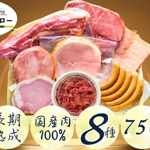 【ふるさと納税】【3か月定期便】国産 熟成肉 ハム プレミアムギフトA 詰め合わせ ももハム ロースハム ポークプレス ベーコン あら挽きウインナー スモークポーク 黒毛和牛 神奈川県 茅ヶ崎市