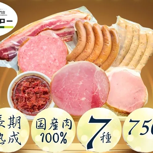 【ふるさと納税】【6か月定期便】国産 熟成肉 ハム プレミアムギフトB 詰め合わせ ロースハム ボンレスハム ベーコン あら挽きウインナー ボロニアソーセージ 黒毛和牛 コンビーフ 神奈川県 茅ヶ崎市