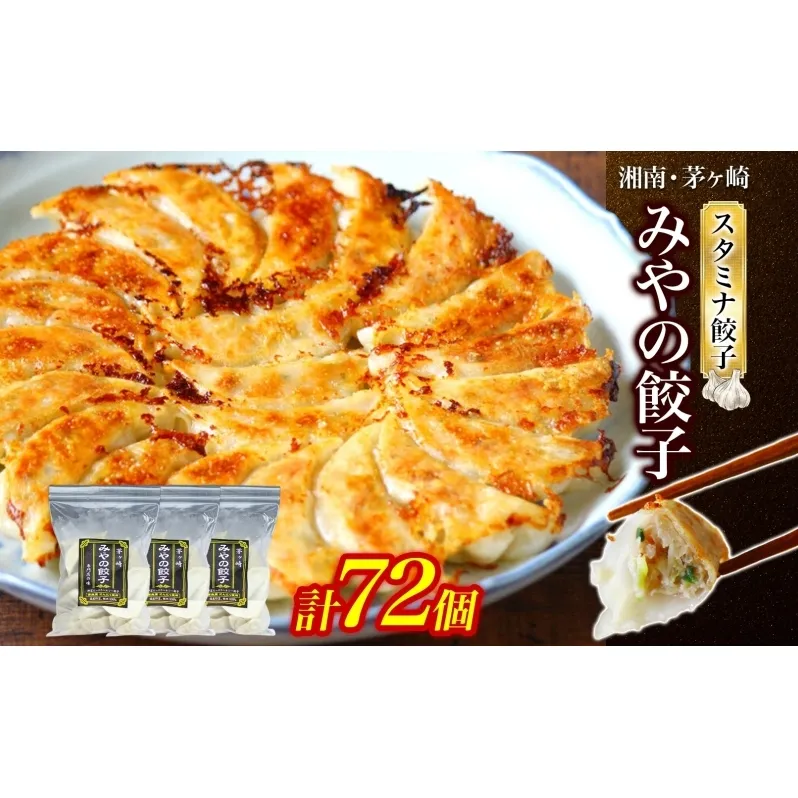 みやの餃子 スタミナ餃子 24個×3セット ラー油付き 餃子 ギョーザ ギョウザ 冷凍 お店の味 専門店 餃子専門店 国産 手づくり にんにく ラー油 一人暮らし 備蓄 ストック お取り寄せ 送料無料 神奈川県 茅ヶ崎市