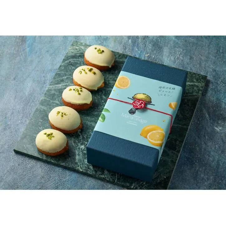 湘南レモンケーキ 5個入り 個包装 スイーツ 焼き菓子 おやつ デザート ティータイム  しっとり 爽やか 優しい甘さ 化粧箱入り