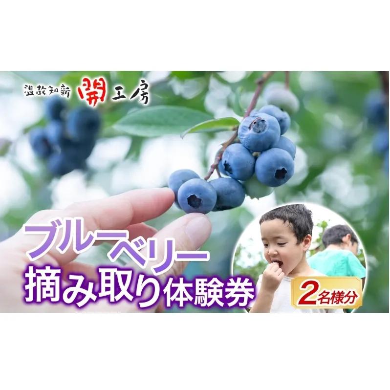 ブルーベリー農園 摘み取り券 収穫 太陽 養液栽培 美味 育つ ジャム バター 地場産  新鮮 卵 スプレッド 濃厚 風味 温故知新 開工房 農園 果実 摘み取り 完熟 農園 あっさり 食パン 採れたて朝食 送料無料 神奈川県 茅ヶ崎市