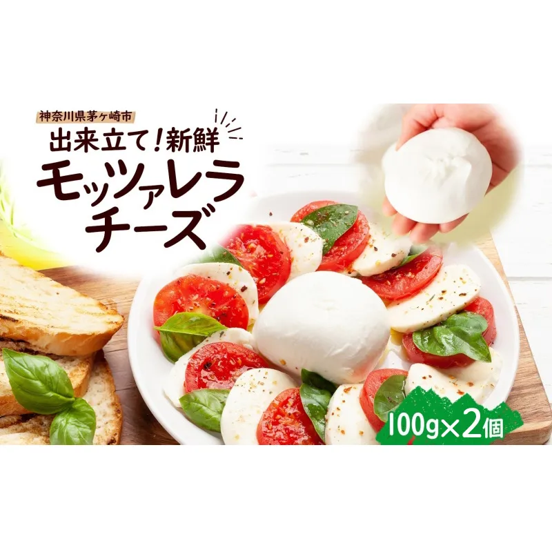 モッツアレラチーズ 100g×2個セット