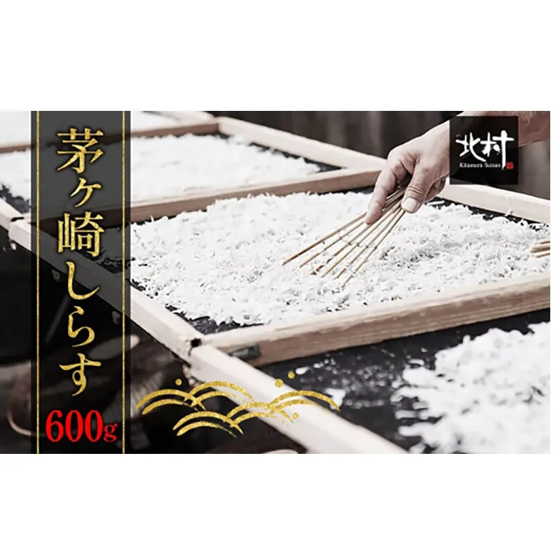 茅ヶ崎 しらす 生 新鮮 600g 網元 船 茹で上げ ゆでる 天日干し 白 透明 湘南 相模湾 朝獲れ  食卓  しらす丼 ポン酢 卵 海 漁 湯切り 濃厚 ふっくら 冷凍 神奈川県 茅ケ崎市