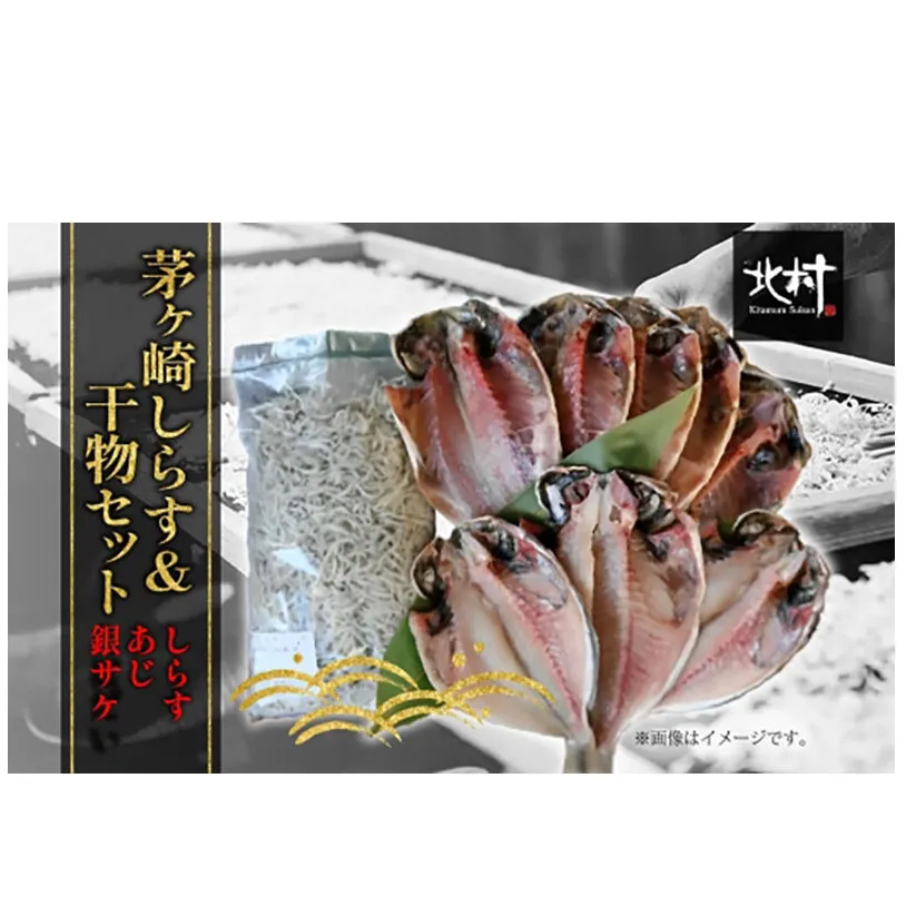 茅ヶ崎 しらす 干物 セット しらす  300g あじ 5枚 銀サケ 4枚 とれたて 網元 船 茹で上げ ゆでる 天日干し 白 透明 湘南 相模湾 朝獲れ  食卓 干物しらす丼 ポン酢 卵 海 漁 湯切り おつまみ お酒 冷凍 神奈川県 茅ケ崎市