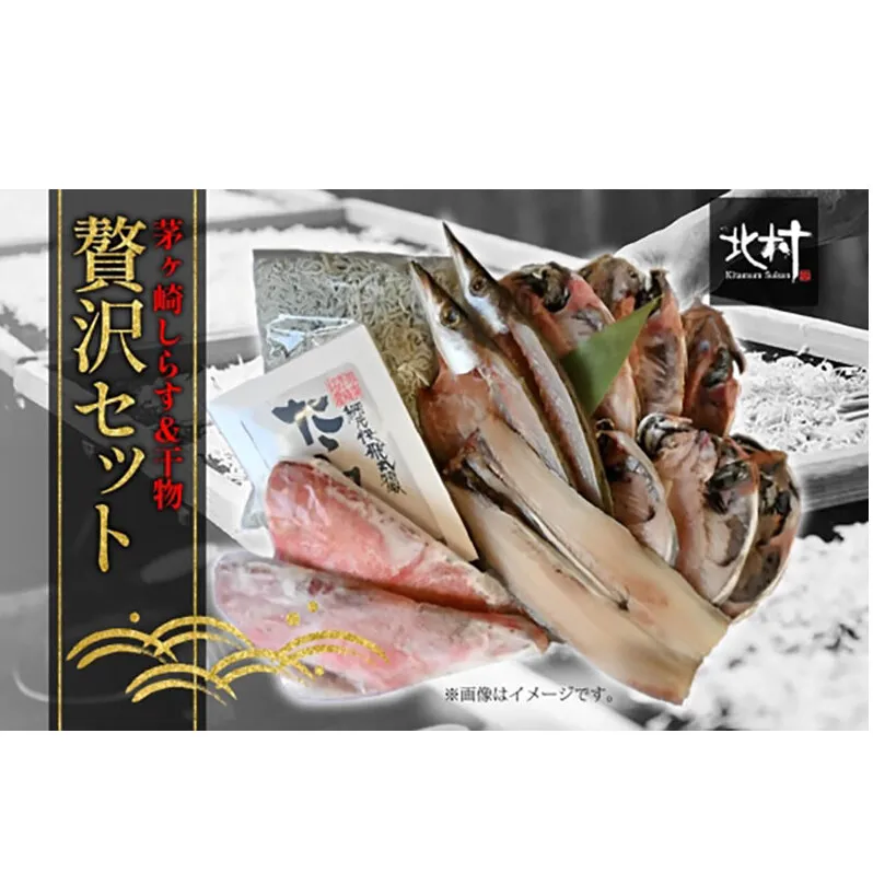 茅ヶ崎 しらす 干物 贅沢 セット しらす 600g たたみしらす 8枚入 1箱 かます 2枚 あじ 3枚 銀サケ 4枚 太刀魚 1枚 赤魚 粕漬 2枚 網元 新鮮 船 海 海鮮 漁 冷凍 北村水産 焼く ご飯 酒 つまみ 神奈川県 茅ケ崎市