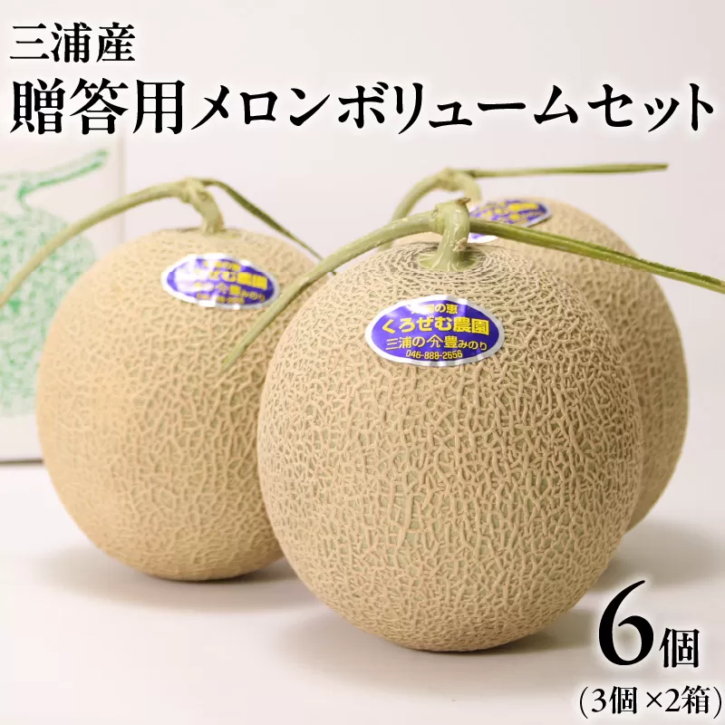 贈答用メロン ボリュームセット