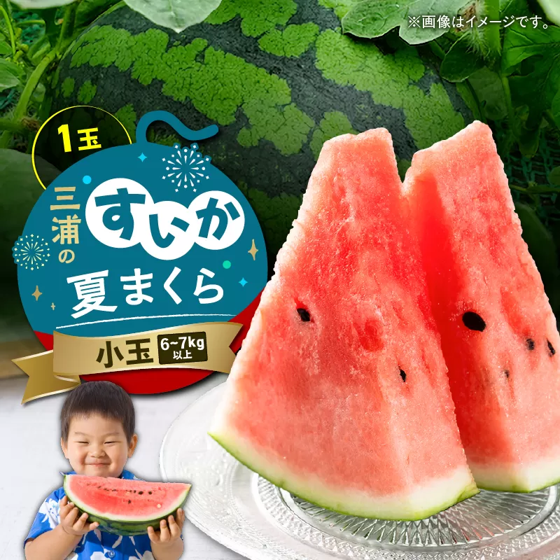 三浦のスイカ「夏まくら」（小玉）
