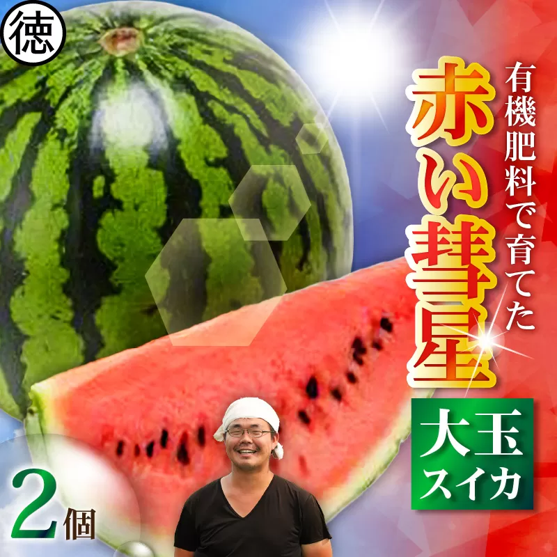 有機肥料で育てた大玉スイカ【赤い彗星】（2個入り）