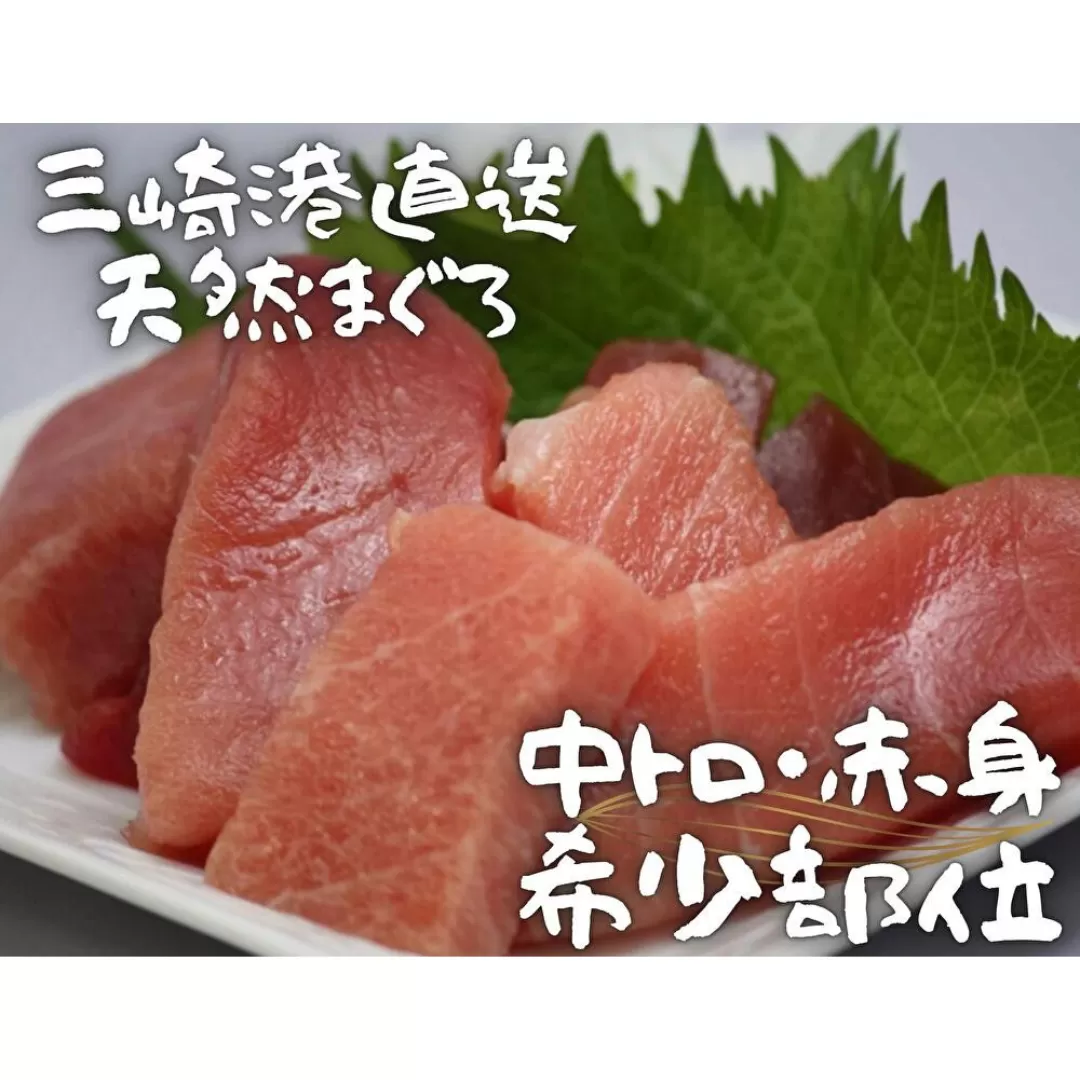 【三崎港直送】天然マグロお刺身セット（中トロ赤身・希少部位）