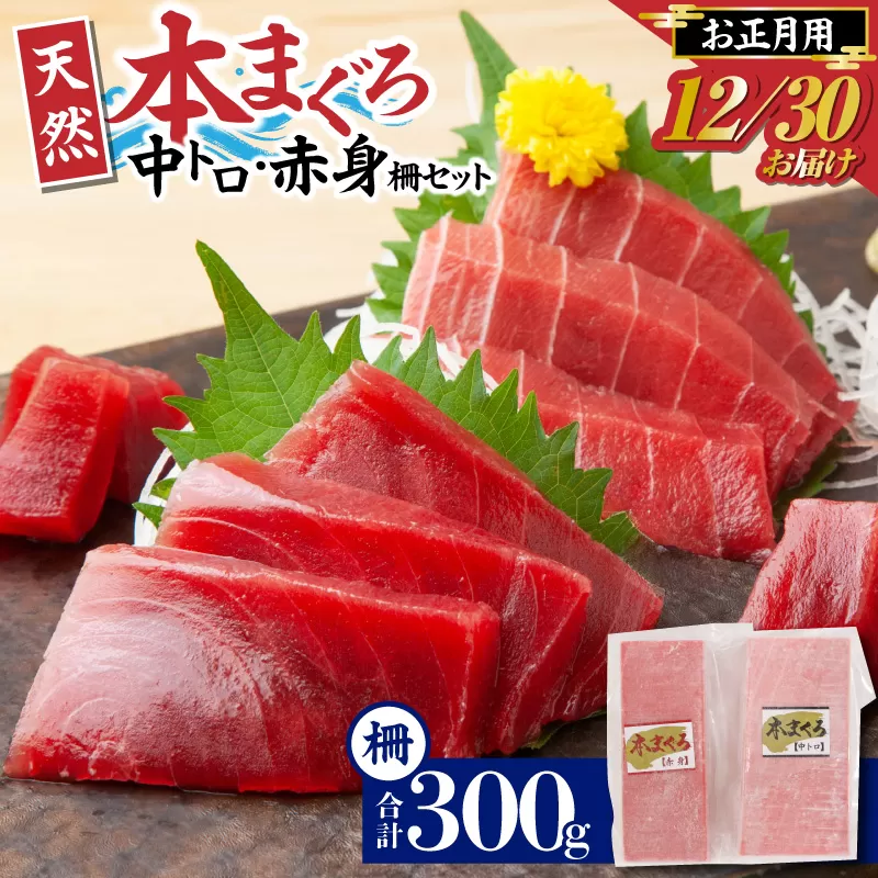 【年内発送】神奈川県漁連 天然本マグロ 中トロ・赤身セット【お正月用】