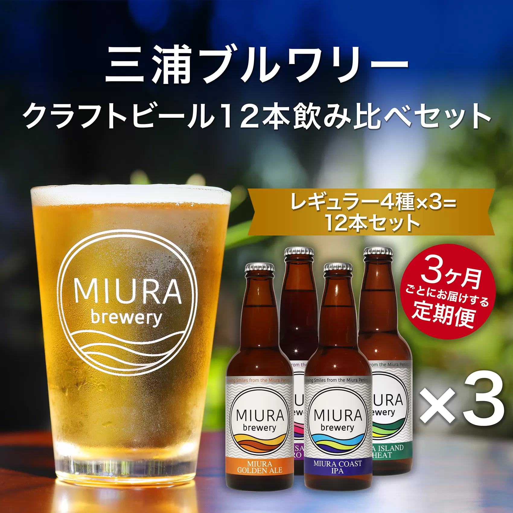 【三浦ブルワリー】定期便3ヶ月クラフトビール12本飲み比べセット