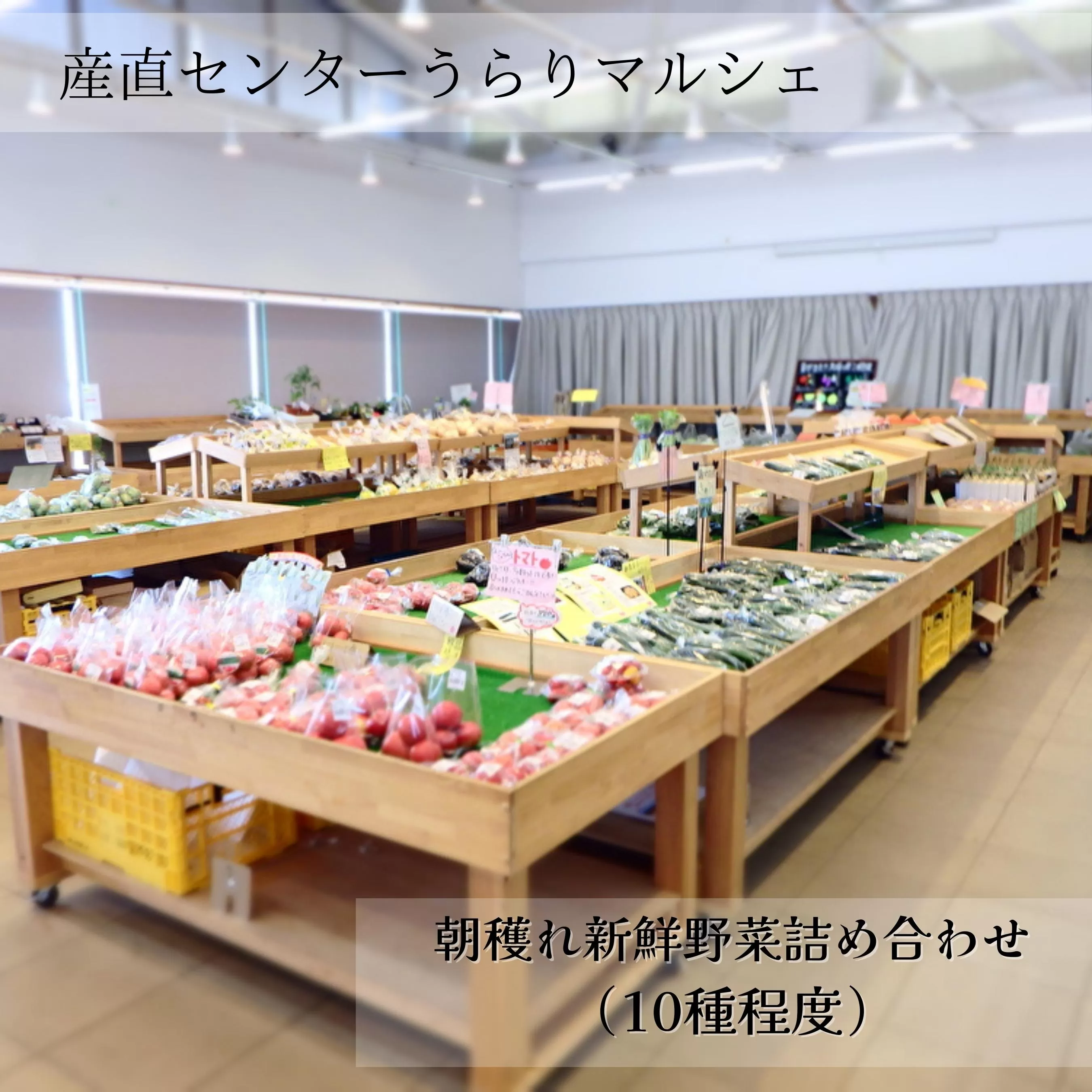 産直センターうらりマルシェ 三浦野菜詰め合わせ