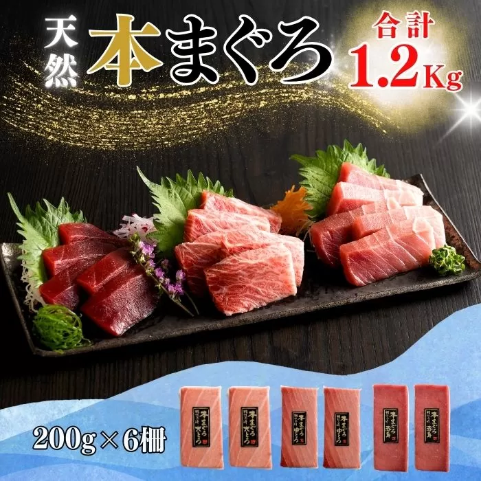 【みんなの心彩る】天然本まぐろ 1.2kg（大トロ400g、中トロ400g、赤身400g）