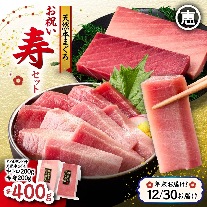 【年末・正月用/12月30日お届け】天然 本まぐろ お祝い寿セット 中トロ200g 赤身200g 迎春 三崎まぐろ 三崎恵水産
