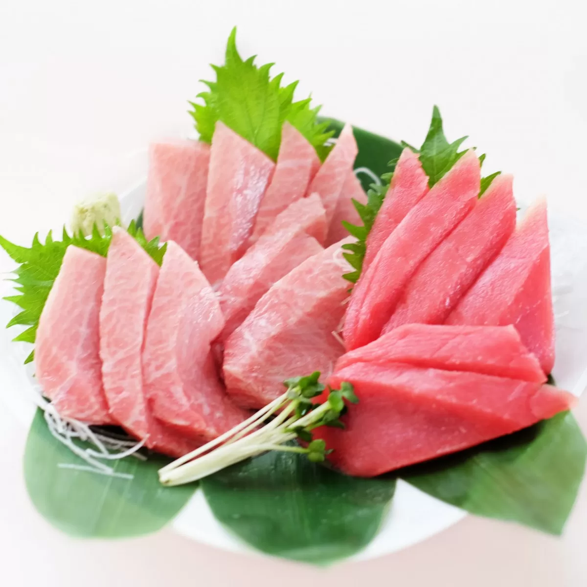 三崎魚音の味おたのしみセット