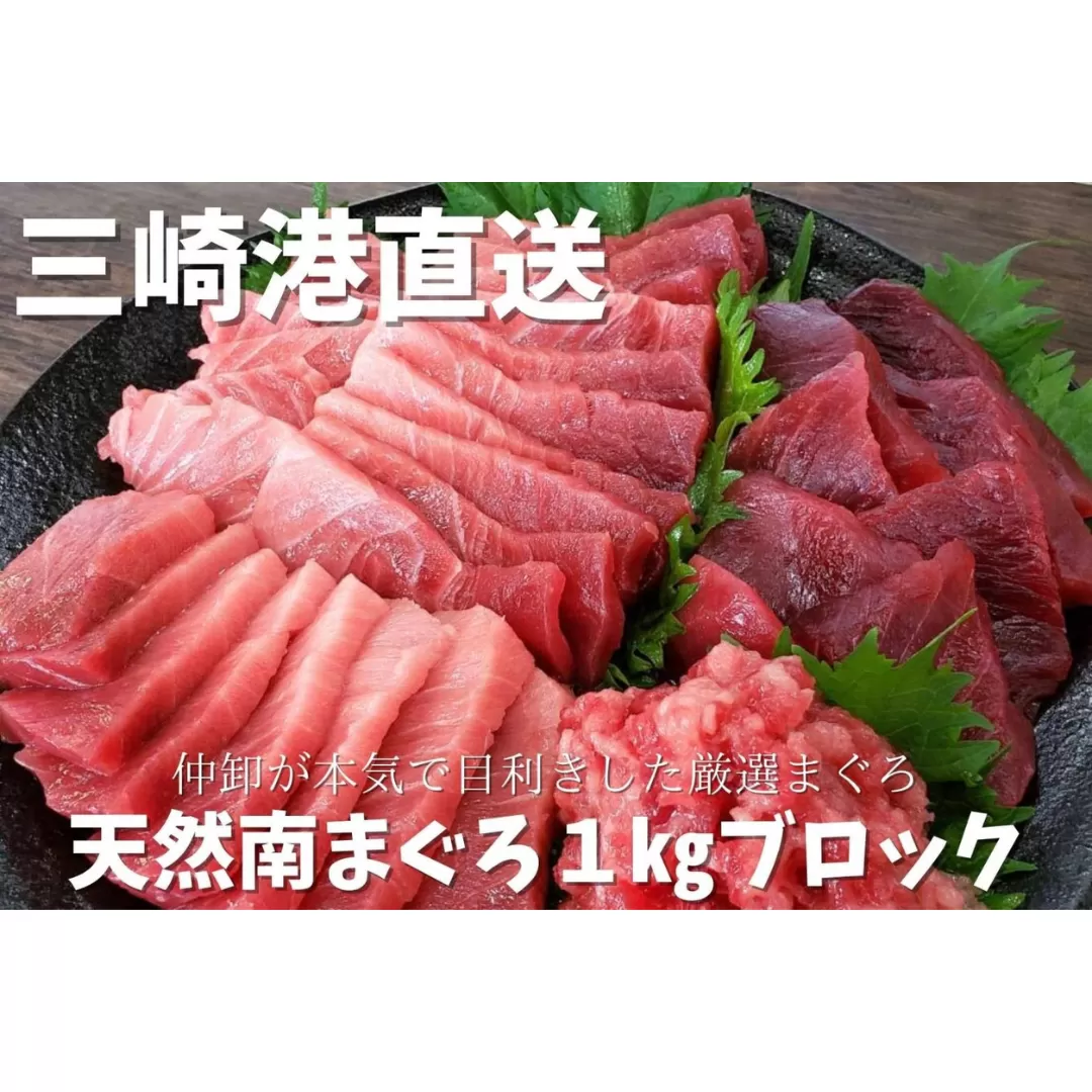 三崎港直送 天然南まぐろ 中トロ・赤身 1kgブロック