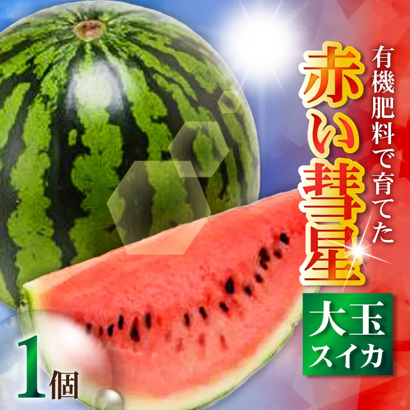 有機肥料で育てた大玉スイカ【赤い彗星】(1個入り)