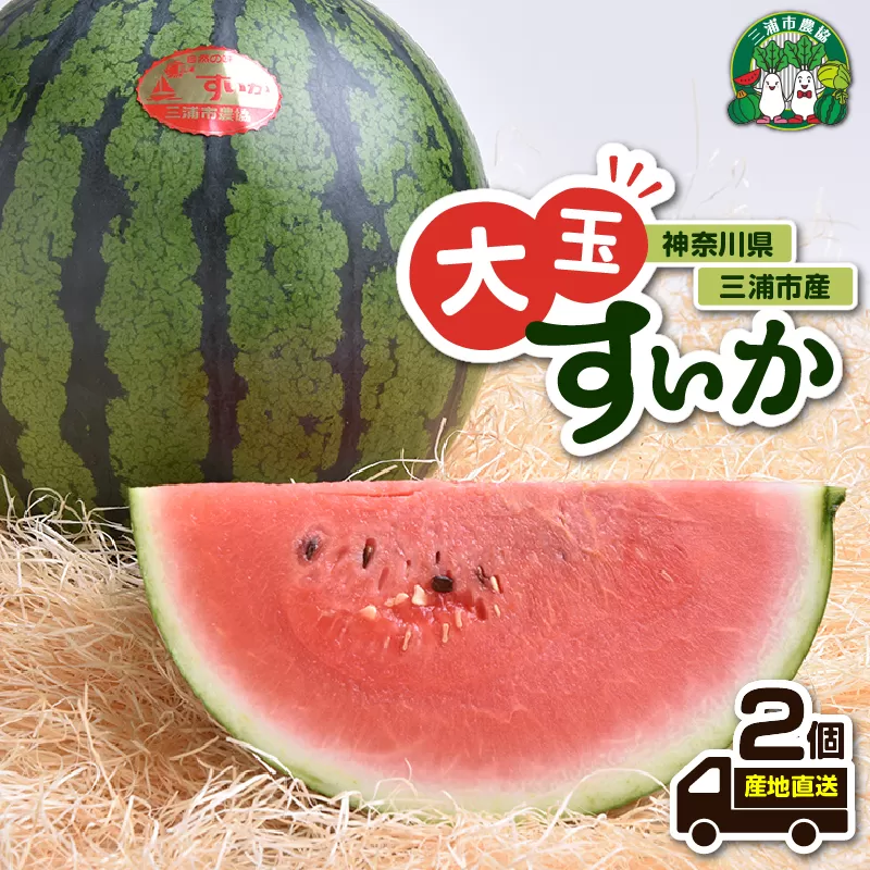 神奈川県三浦市産大玉すいか（2個）