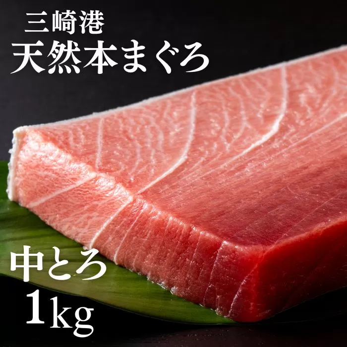 まぐろ専門の老舗問屋からお届け！とろける！上質 天然本まぐろ中トロ1kg分