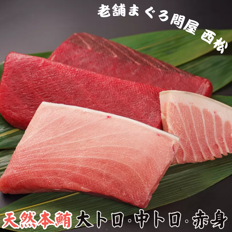 創業以来130年 三崎港老舗問屋「西松」厳選 天然本鮪 満喫詰め合わせ 660g