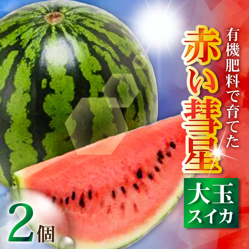 有機肥料で育てた大玉スイカ【赤い彗星】（2個入り）