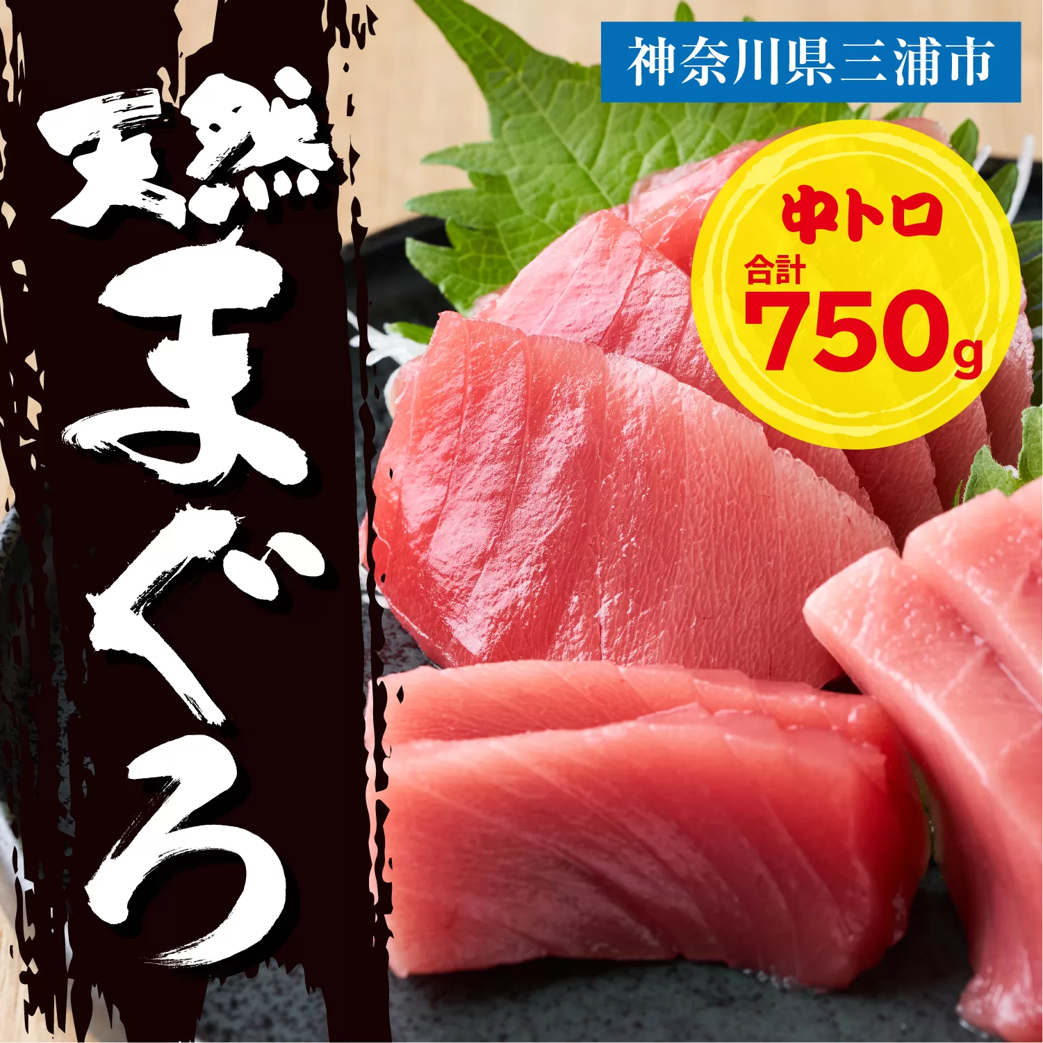 三崎マグロ 鈴木水産 天然マグロ（中トロ3柵）セット