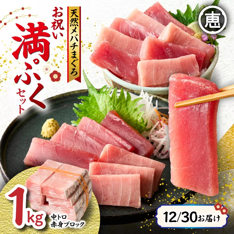 【年末・正月用/12月30日お届け】天然 目鉢まぐろ お祝い満ぷくセット 中トロ赤身1kgブロック 迎春 三崎まぐろ 三崎恵水産