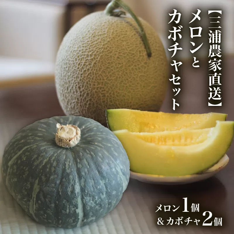 【三浦農家直送】メロンとカボチャセット
