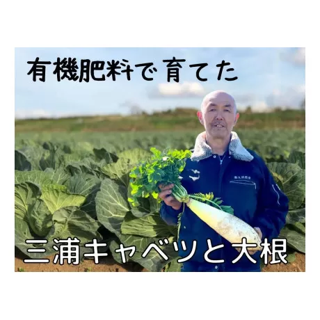 有機肥料で育てたキャベツと大根セット