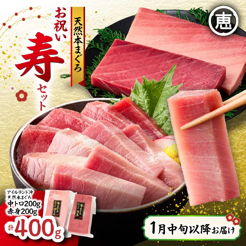 【1月中旬以降お届け】天然 本まぐろ お祝い寿セット 中トロ200g 赤身200g 迎春 三崎まぐろ 三崎恵水産