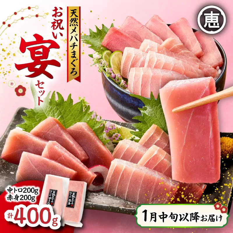 【1月中旬以降お届け】天然 目鉢まぐろ お祝い宴セット 中トロ200g 赤身200g 迎春 三崎まぐろ 三崎恵水産