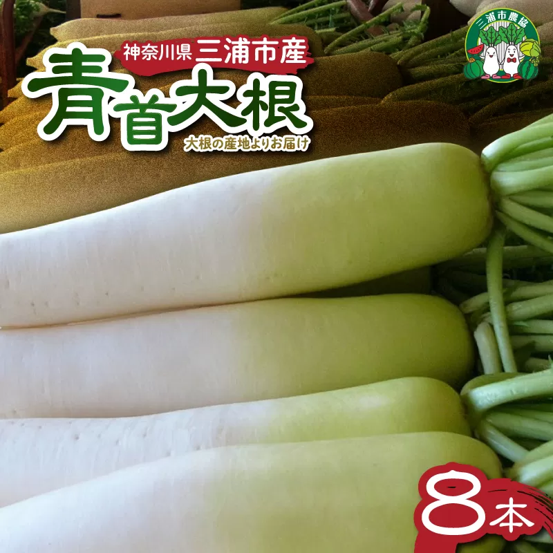 神奈川県三浦市産青首大根 8本