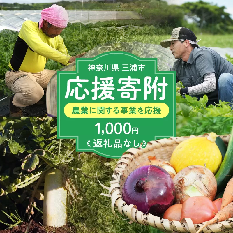 神奈川県三浦市【返礼品なし】応援寄附 農業に関する事業を応援(1,000円)