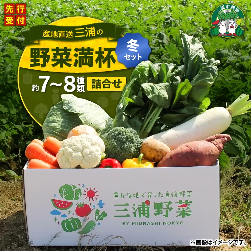 おいしさを全力に 三浦の野菜満杯セット(冬)