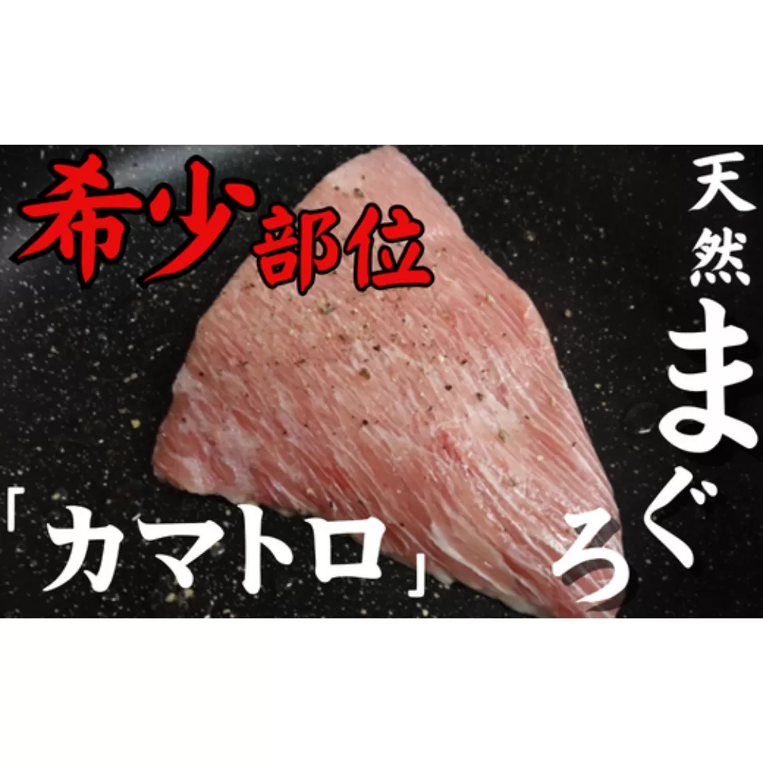 【幻のトロ】天然三崎まぐろ希少部位の「カマトロ」