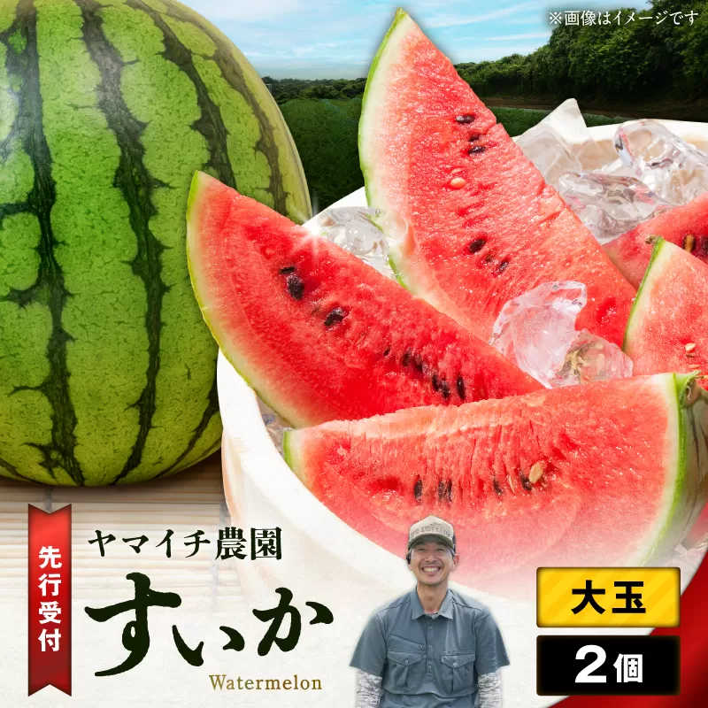 【三浦農家直送】大玉スイカ（2個入り）