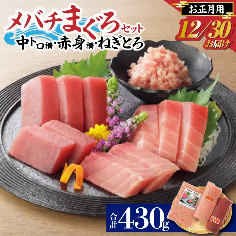 お正月用 メバチ鮪セット（神奈川県漁連）