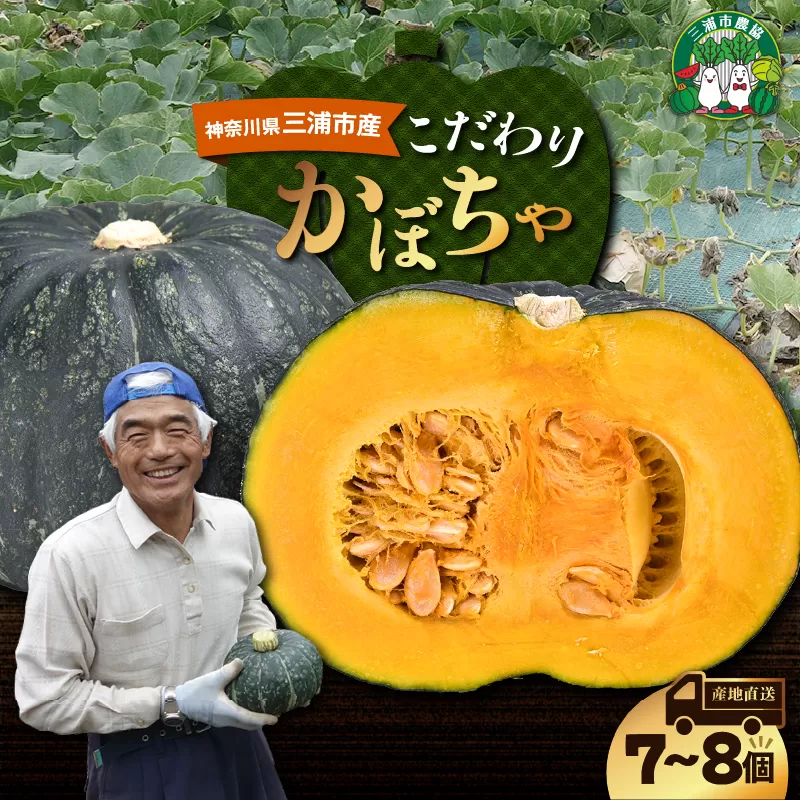 神奈川県三浦市産 三浦こだわりかぼちゃ（7～8個）