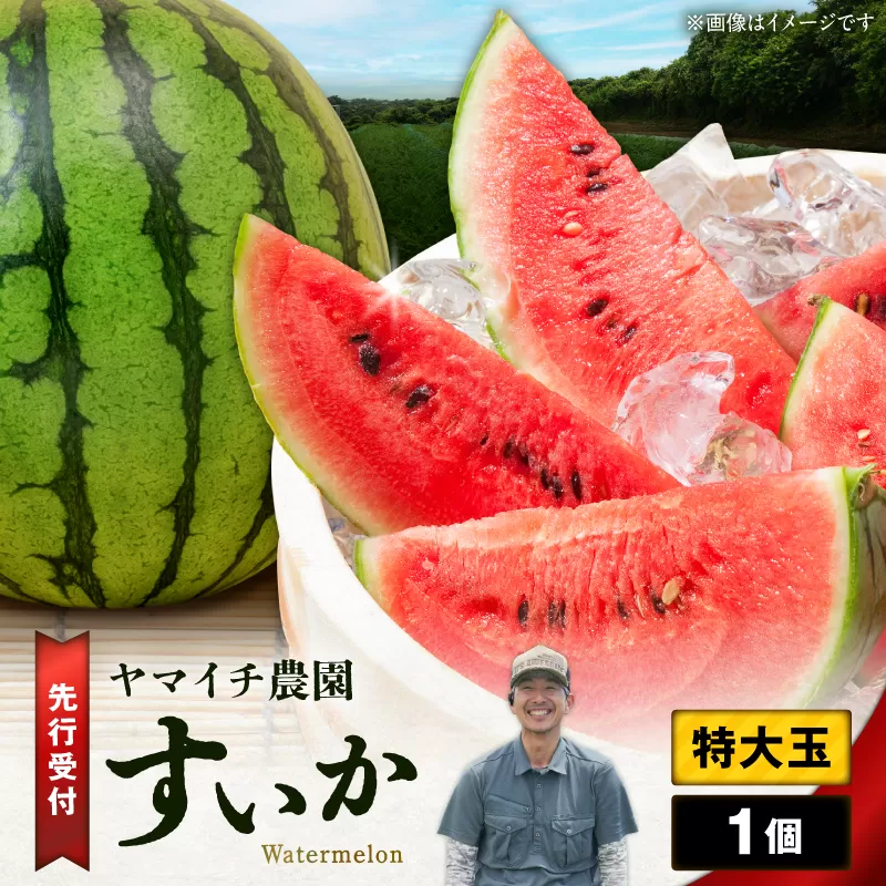 【三浦農家直送】特大玉スイカ（1個入り）