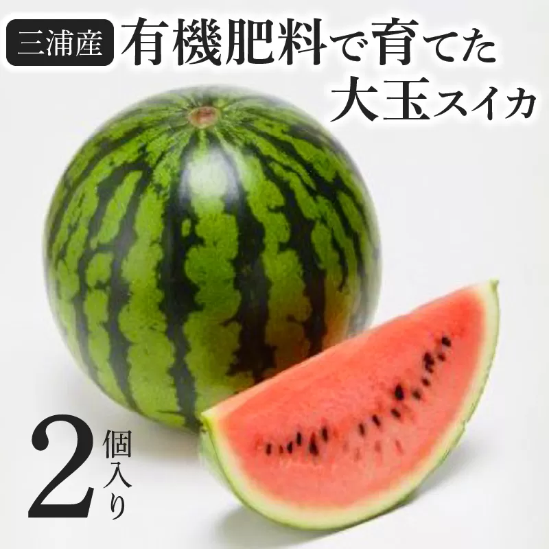 有機肥料で育てた大玉スイカ【赤い彗星】（2個入り）