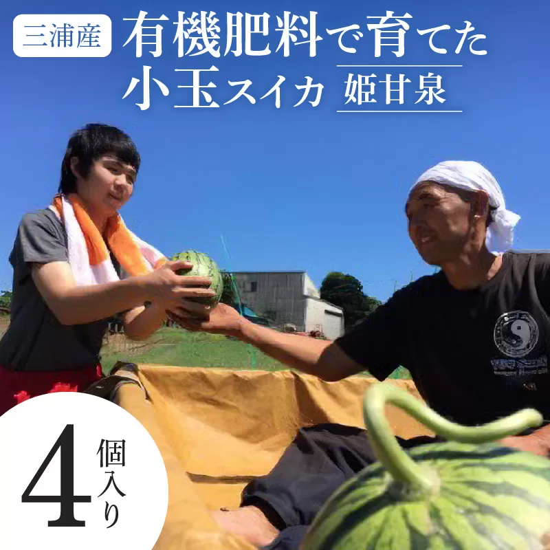 有機肥料で育てた小玉スイカ【姫甘泉】（4個入り）