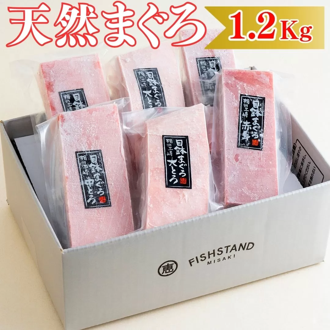 【お箸が止まらない】天然目鉢まぐろ1.2kg（大トロ400g、中トロ400g、赤身400g）