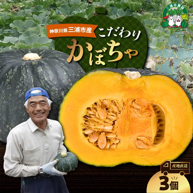 神奈川県三浦市産 三浦こだわりかぼちゃ(3個)